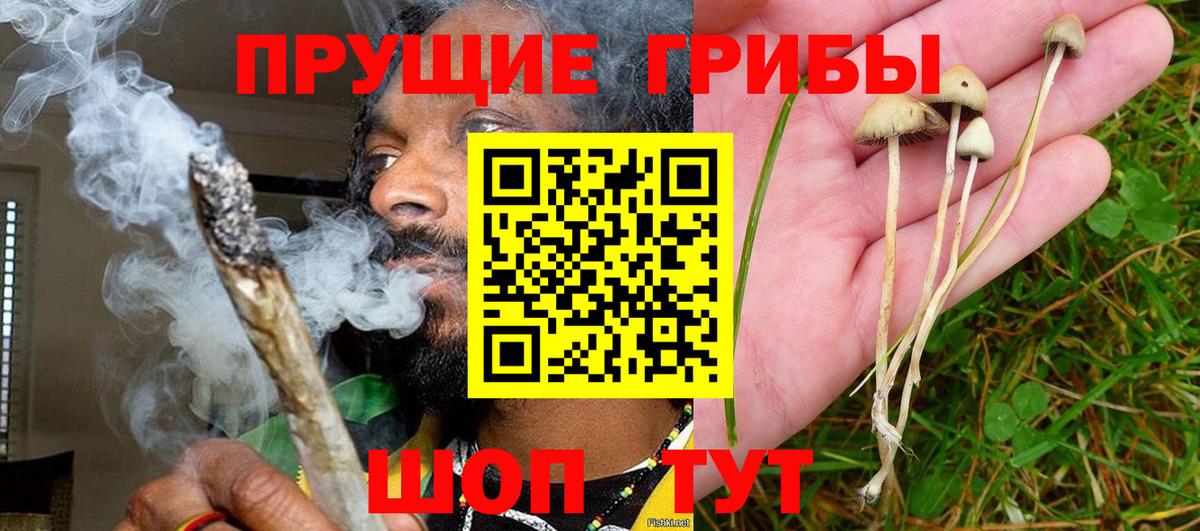 Нижний Новгород  Псилоцибиновые грибы Magic Shrooms  Вход с VPN 