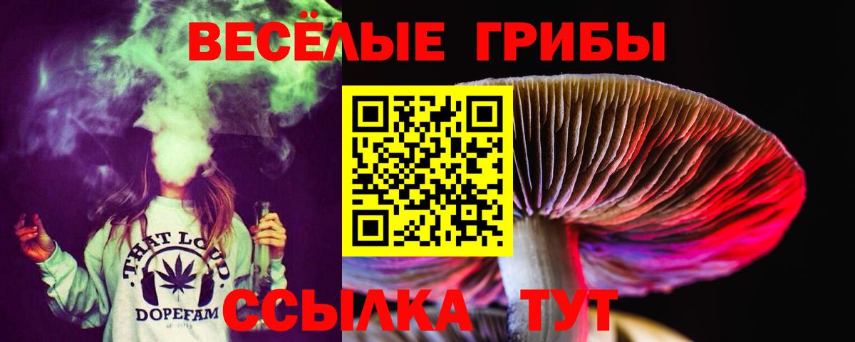Псилоцибиновые грибы ЛСД Нижний Новгород